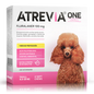 ATREVIA ONE TABLETA MASTICABLE - Caja 4 Tabletas