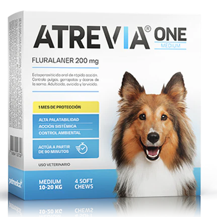 ATREVIA ONE TABLETA MASTICABLE - Caja 4 Tabletas