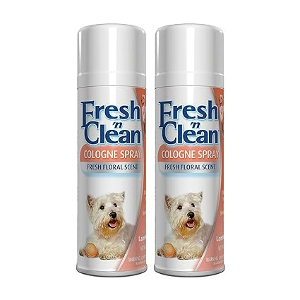 Fresh N Clean Colonia, listo para usar, 12 onzas de aroma floral fresco en aerosol corporal