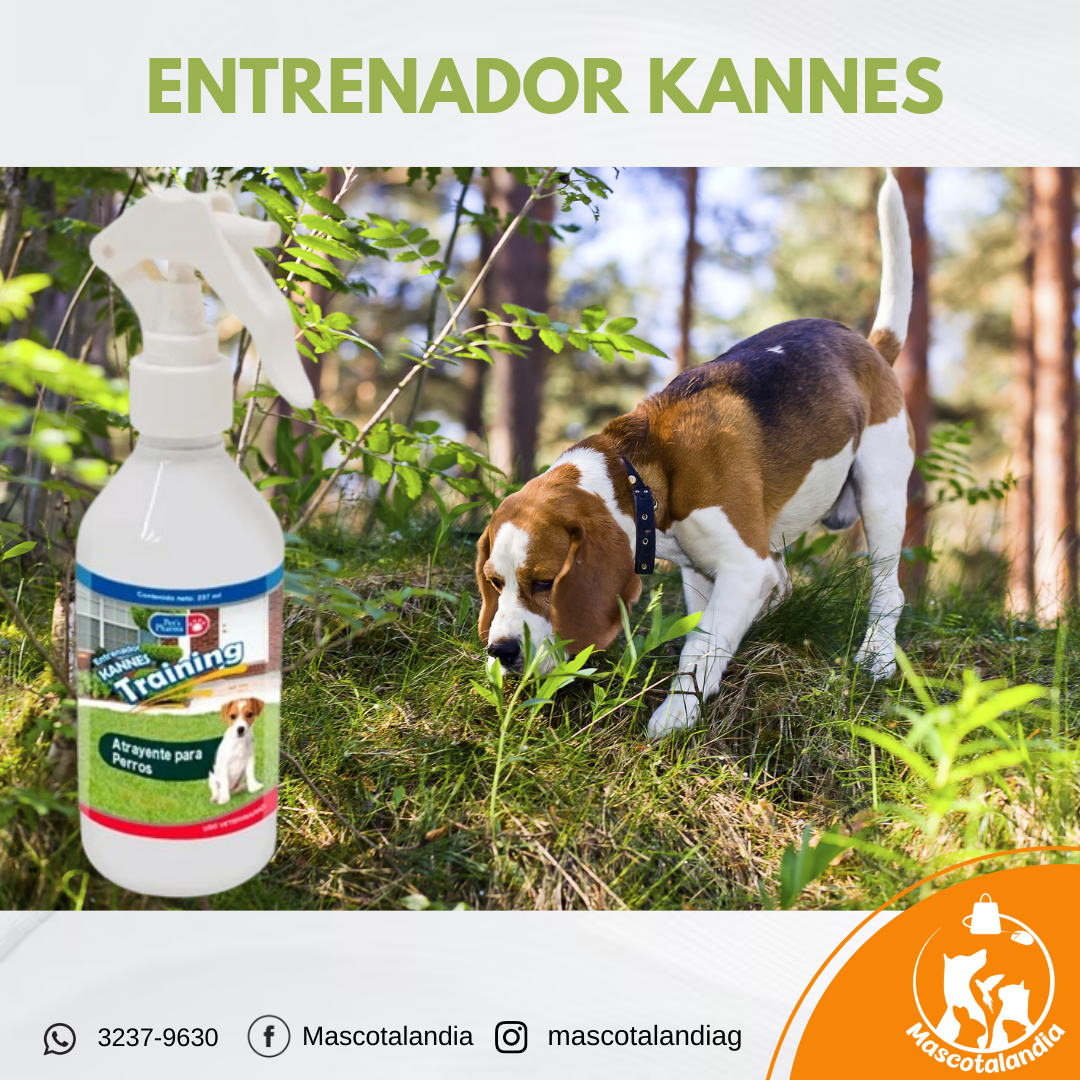 KANNES ENTRENADOR 237 ML