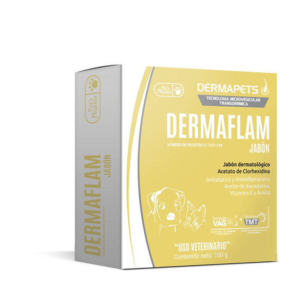 DERMAFLAM JABÓN 100 GRS