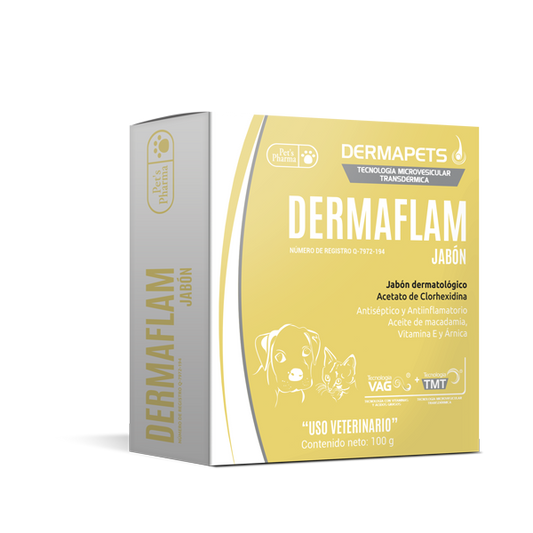 DERMAFLAM JABÓN 100 GRS