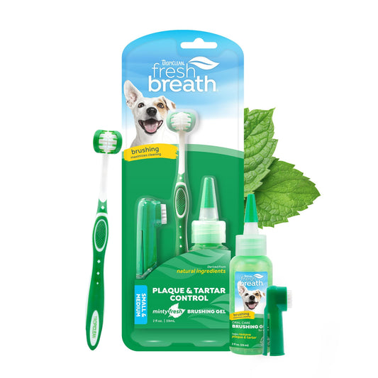 FRESH BREATH ORAL CARE KIT