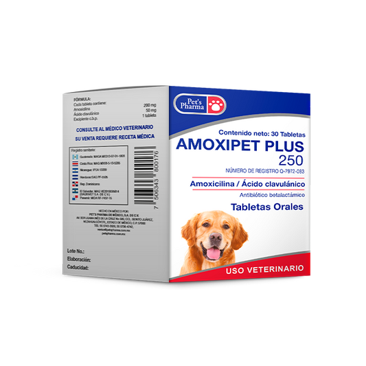 Amoxipet Plus 250mg